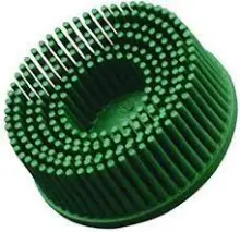 BRISTLE DISCS